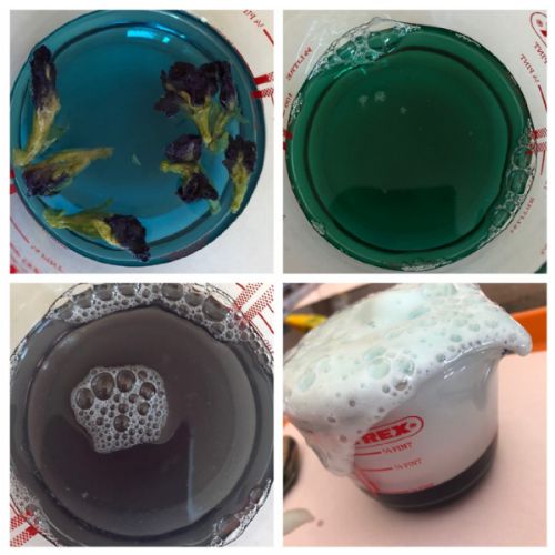 Jack & Sophie - Potion Science - making erupting slime, colour changing potion using butterfly pea flowers 2